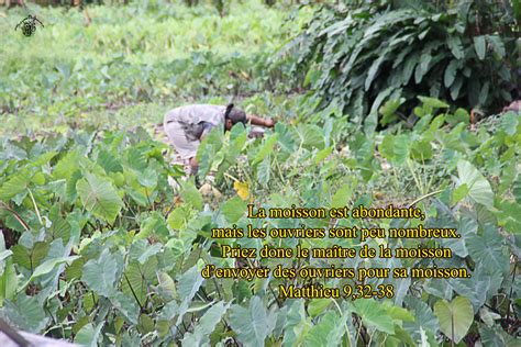 Mardi De La Me Semaine Du Temps Ordinaire Puiser La Source