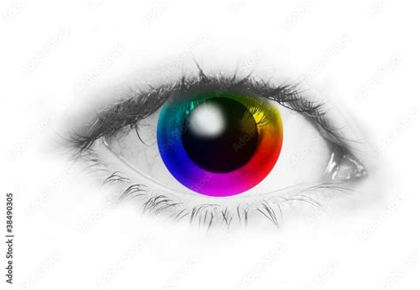 color wheel in human eye Stock Illustration | Adobe Stock