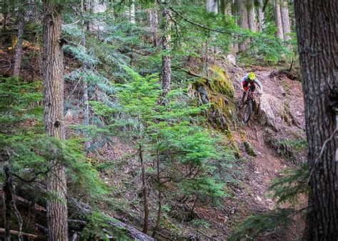 Insider’s Guide to Whistler’s Mountain Bike Trails: Blackcomb