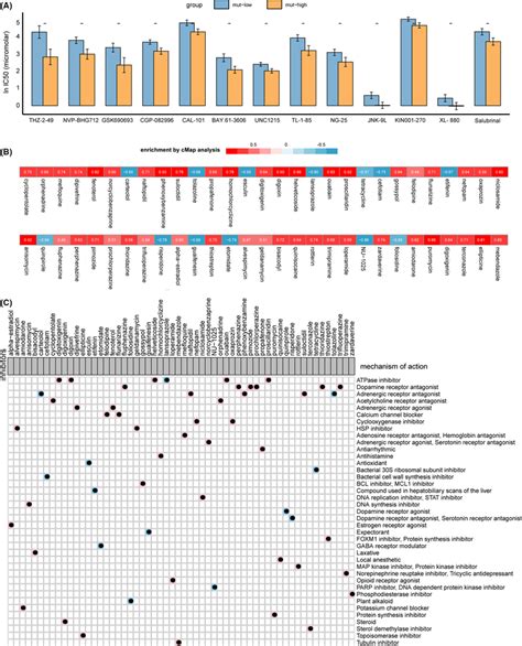 Comparison Of Drug Responsiveness Between The Muthigh And Mutlow