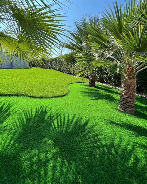 Flora Growth Corp added a new photo. - Flora Growth Corp