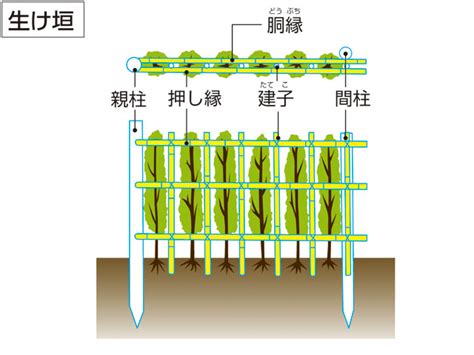 胴縁ドウブチとは？ 意味や使い方 コトバンク