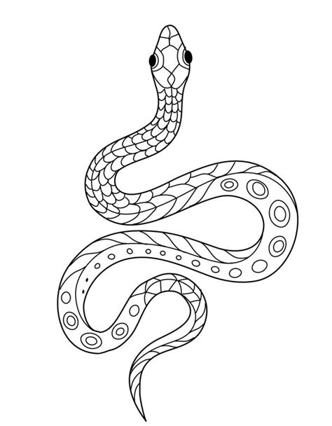 Black And White Drawings Of Snakes