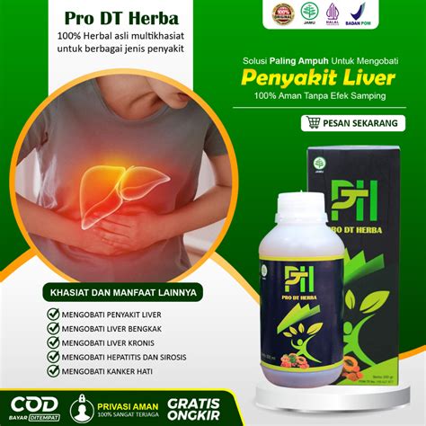 Jual Obat Liver Paling Ampuh Perut Bengkak Hepatitis A B C Liver