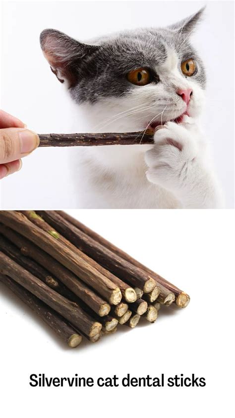 Natural Dental Chew Sticks For Cats