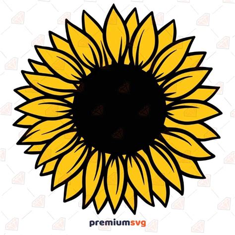 Sunflower Leaf Svg