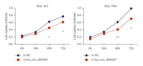 Effect Of Hsa Circ 0000467 Silencing On GC Proliferation Invasion