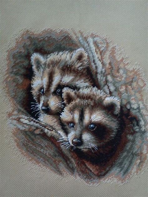 My Raccoons Raccoon Cross Stitch Owl