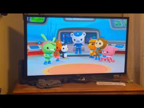 Octonauts Creature Report Lions Mane Jellyfish Youtube