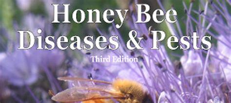 Honey Bee Diseases And Pests Third Edition 2013 Stephen F Pernal