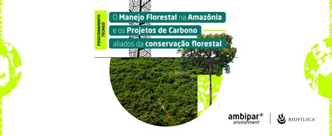 O Manejo Florestal Na Amaz Nia E Os Projetos De Carbono Aliados Na