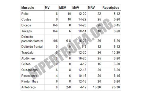 El Volumen De Entrenamiento Ideal Para La Hipertrofia Fisiomorfosis