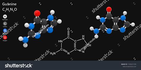 Ilustrasi Stok Chemical Structural Formula Model Guanine Nitrogenous 1103221376 Shutterstock