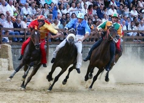 Il Palio Il Turismo A Castiglion Fiorentino