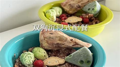 森尼和小莱｜vlo184 双狗沉浸式配餐 Youtube