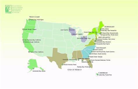 Geographical Distribution - estuary biome