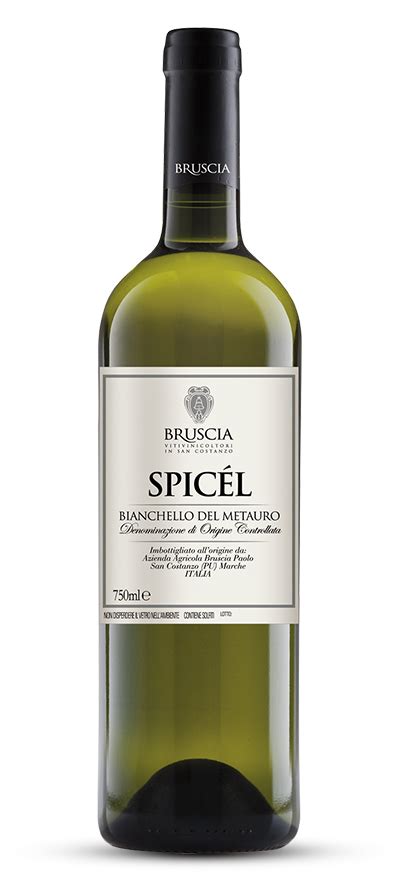 Vino Biologico Marche Cantina Biologica Marche Cantina Bio Bruscia