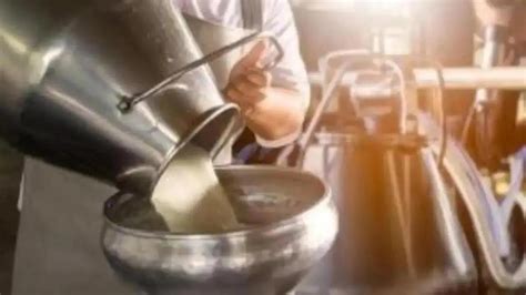 Maharashtra Govt Announces Rs Litre Subsidy For Milk Producers