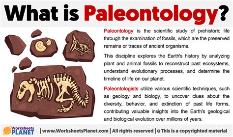 What is Paleontology | Definition of Paleontology