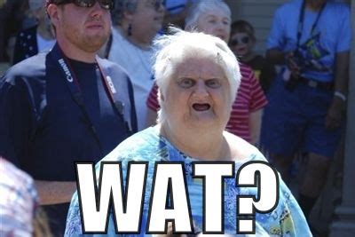 Granny, Wat? Meme | The selection book, Wat meme, Selection series