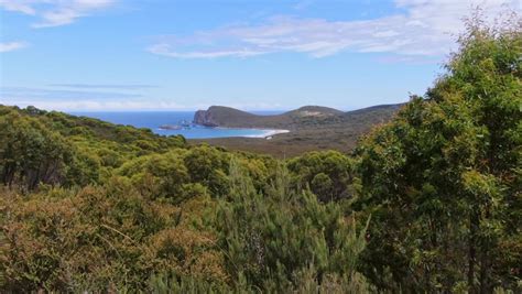 496 Hiking in tasmania Stock Video Footage - 4K and HD Video Clips ...