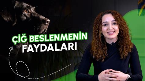 GurmeRAW Çiğ Beslenmenin Faydaları Nelerdir BARF MAMA YouTube