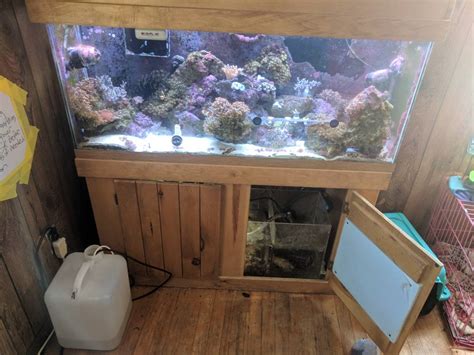 Oklahoma - Full reef tank setup | REEF2REEF Saltwater and Reef Aquarium ...