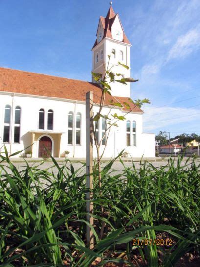 Portal Luteranos Rvore De Lutero Par Quia Cristo Bom Pastor