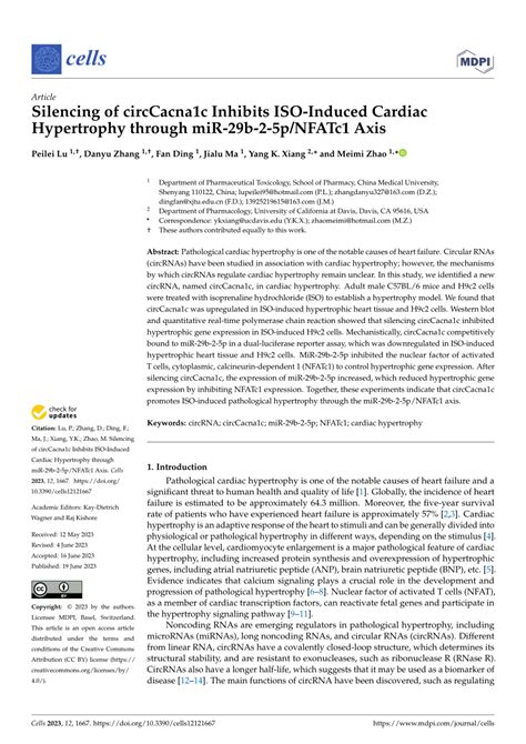 Pdf Silencing Of Circcacna C Inhibits Iso Induced Cardiac Hypertrophy