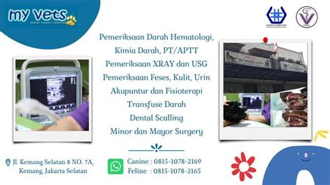 MELAYANI CALL 0813 1015 8004 Klinik Hewan Terdekat Dari Sini Dokter