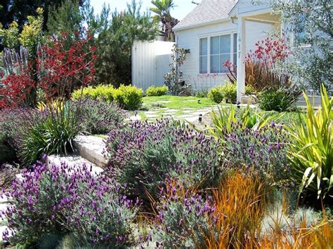 choose   plants   garden gardenpicsandtipscom