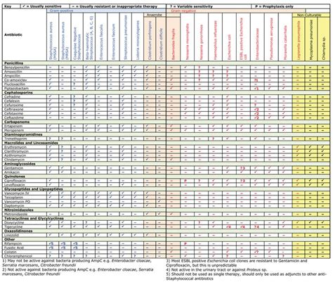 Antibiotic Activity Chart