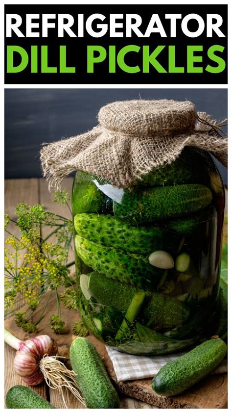 Refrigerator Dill Pickles Artofit