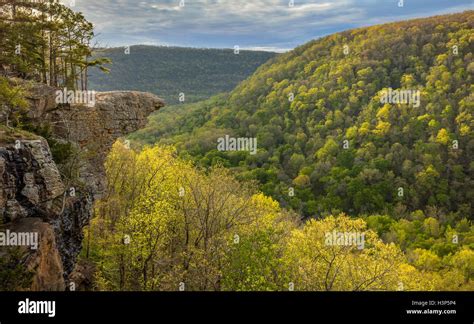 Here Are Some Of The Most Interesting Facts About The Ozark Mountains