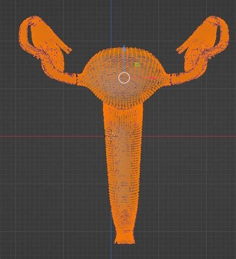 3d Model Of Female Reproductive System 3d Model Cgtrader