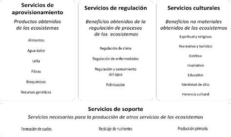 Clasificación de los servicios ecosistémicos MA 2005 Download