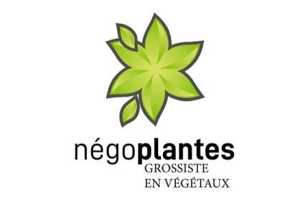 Négoplantes votre grossiste en végétaux