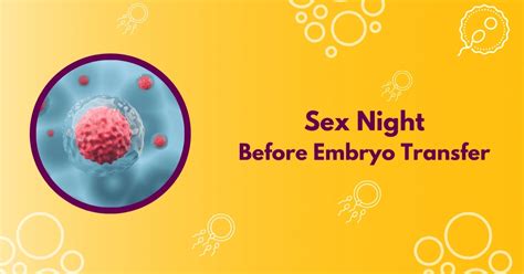 Sex Night Before Embryo Transfer The Hivefertility