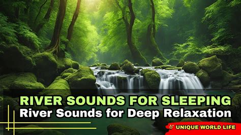 Relaxing River Sound Peaceful Forest River Sounds For Sleeping For