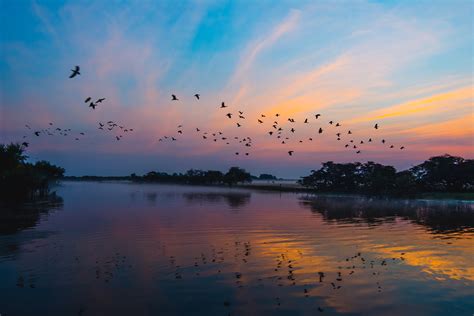 Landmark Living Wonders Climate Court Cases