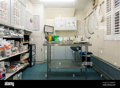 An Empty Veterinary Treatment Room Stock Photo Alamy