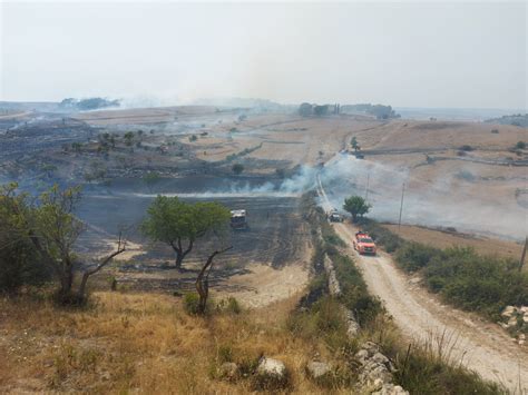 Incendi In Sicilia Roghi Nel Ragusano Interventi Di Forestali E