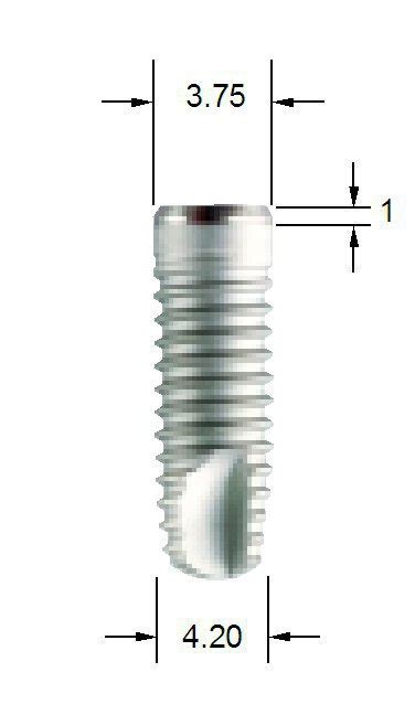 Mis Biocom Internal Hex Old Design M4 Dental Implant Spotimplant