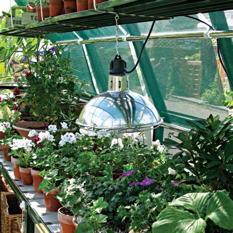 Hartley Greenhouse Accessories & Options - Hartley Botanic