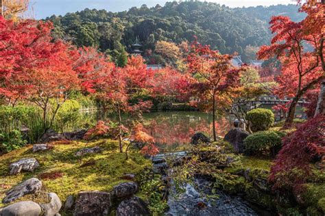 The 10 Best Autumn Leaves Spots In Kyoto You Should Visit