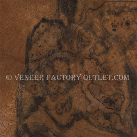 Walnut Burl Veneer