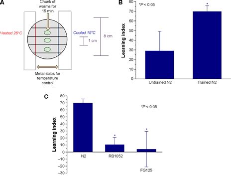 Figure From Differential Effects Of Trpa And Trpv Channels On