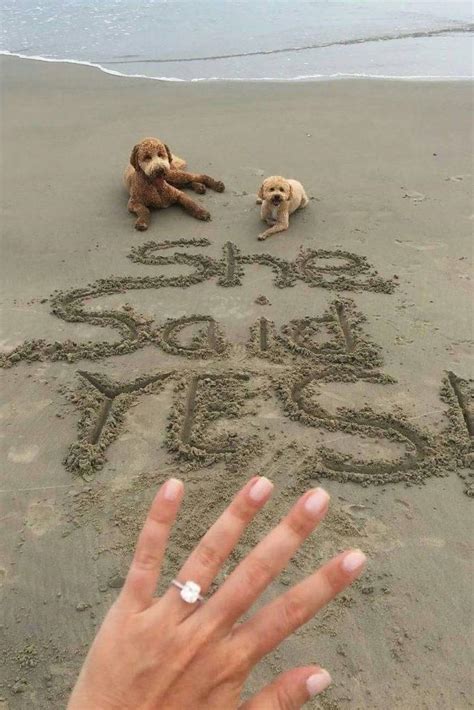 15 Most Popular Photos Of Beach Proposals