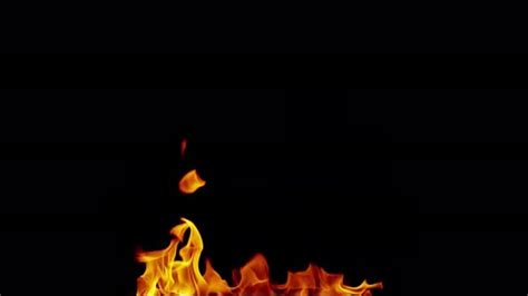 Burning Blue Flames And Reflection Loop 4K, Backgrounds Motion Graphics ...