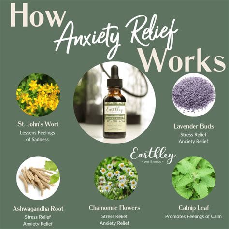 Anxiety Relief – For Nervousness and Anxious Feelings | Earthley Wellness